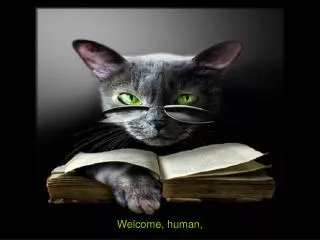 Welcome, human,