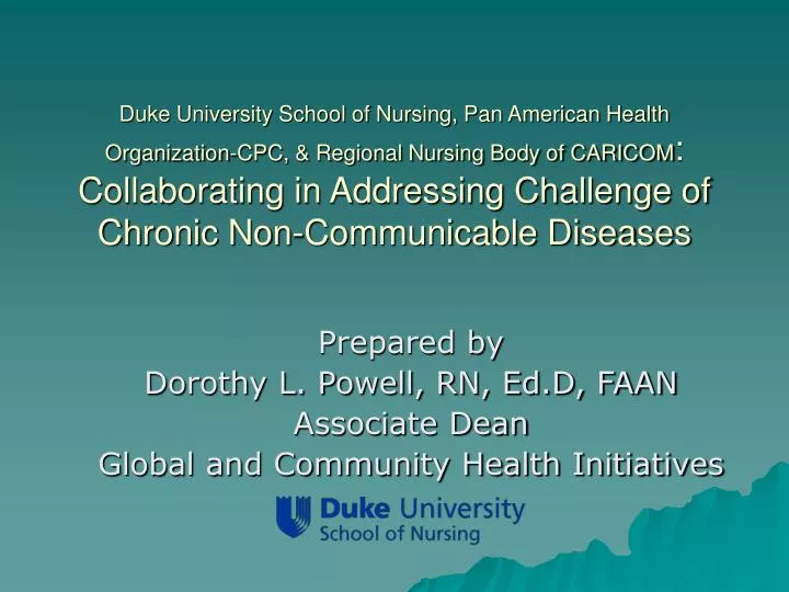 prepared by dorothy l powell rn ed d faan associate dean global and community health initiatives