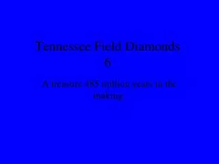 Tennessee Field Diamonds 6