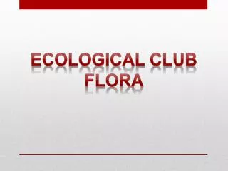 ecological club flora