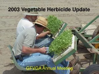 2003 Vegetable Herbicide Update