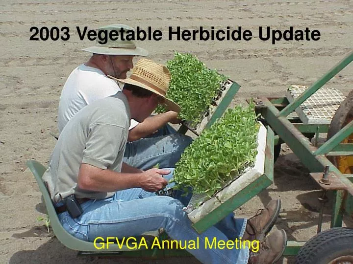 2003 vegetable herbicide update
