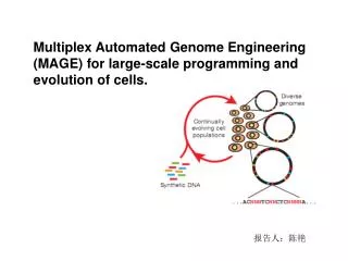 Multiplex Automated Genome Engineering (MAGE) for large-scale programming and evolution of cells.