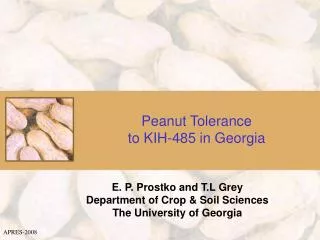 Peanut Tolerance to KIH-485 in Georgia