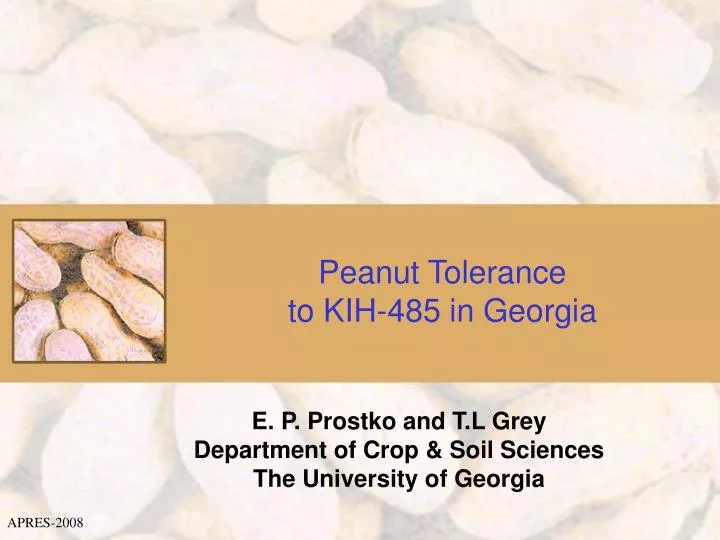 peanut tolerance to kih 485 in georgia