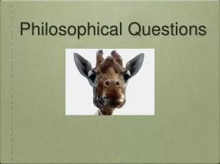 Philosophical Questions