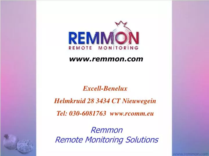 remmon remote monitoring solutions