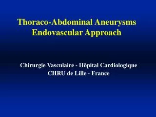 Thoraco-Abdominal Aneurysms Endovascular Approach