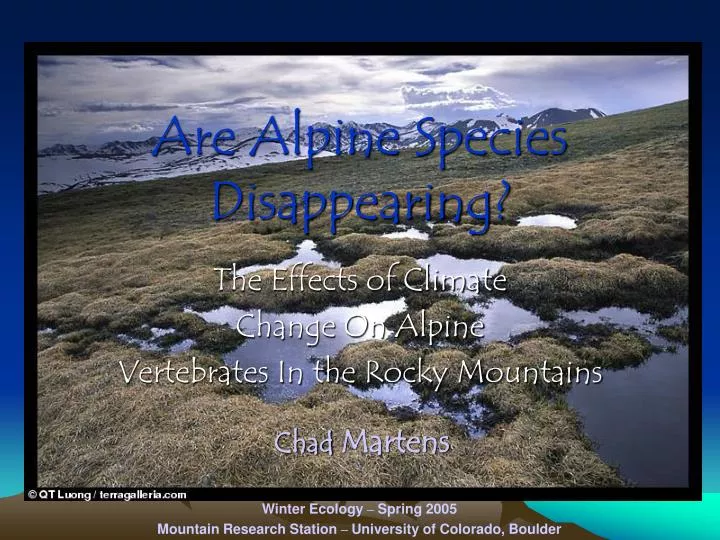 are alpine species disappearing
