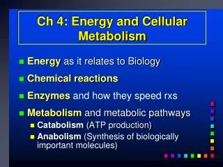Ch 4: Energy and Cellular Metabolism