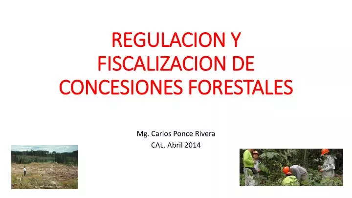 regulacion y fiscalizacion de concesiones forestales