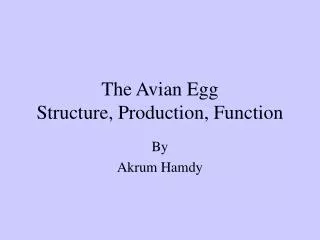 the avian egg structure production function