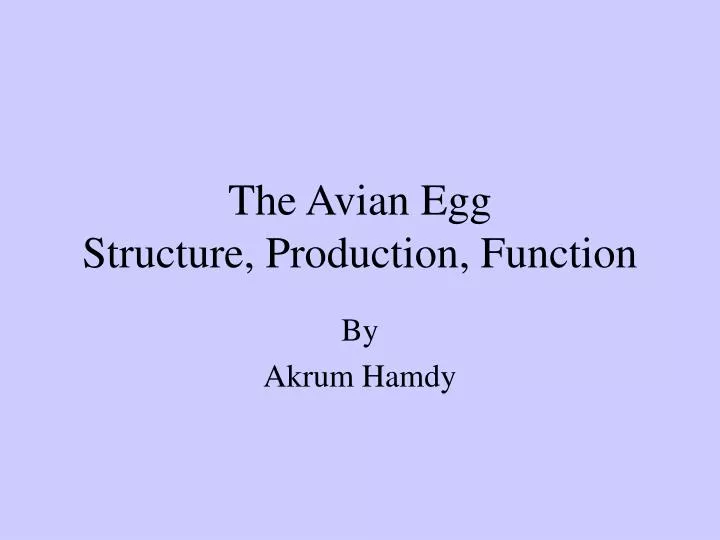 the avian egg structure production function
