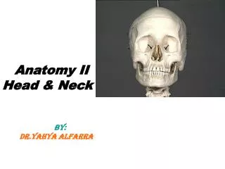 Anatomy II Head &amp; Neck BY: DR.Yahya Alfarra