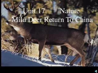 Unit 17 Nature Milu Deer Return To China