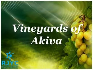 Vineyards of Akiva