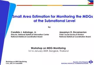 Small Area Estimation for Monitoring the MDGs at the Subnational Level