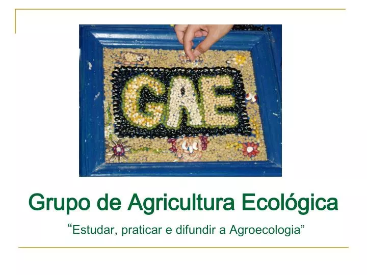 grupo de agricultura ecol gica estudar praticar e difundir a agroecologia
