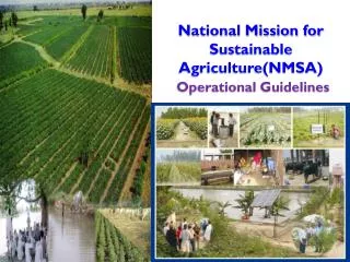 National Mission for Sustainable Agriculture(NMSA) Operational Guidelines