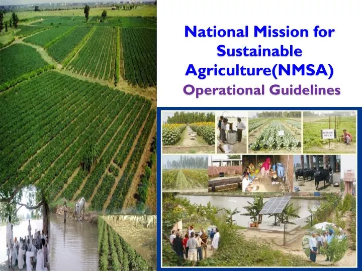 national mission for sustainable agriculture nmsa operational guidelines