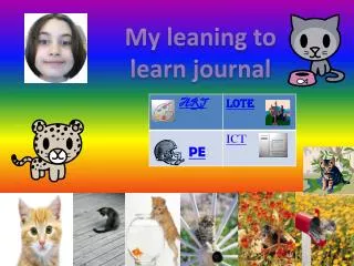 My leaning to learn journal