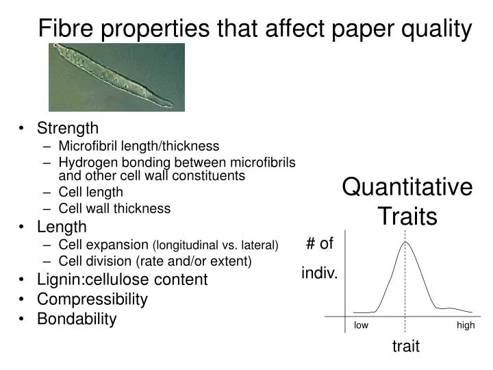 fibre properties that affect paper quality