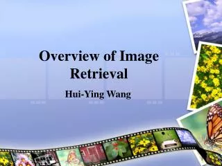 Overview of Image Retrieval