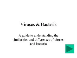 Viruses &amp; Bacteria