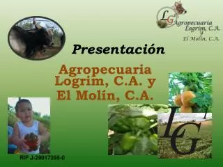 presentaci n