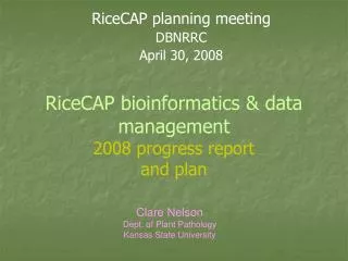 RiceCAP bioinformatics &amp; data management 2008 progress report and plan