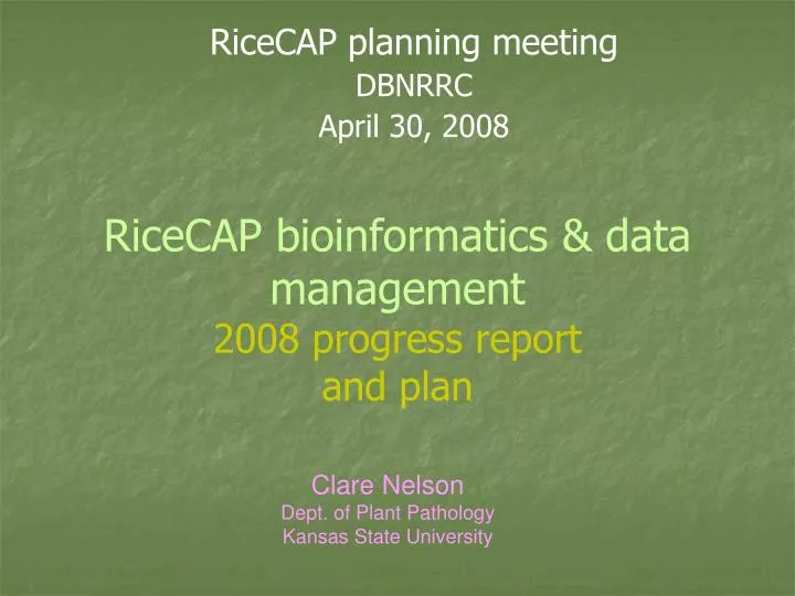 ricecap bioinformatics data management 2008 progress report and plan