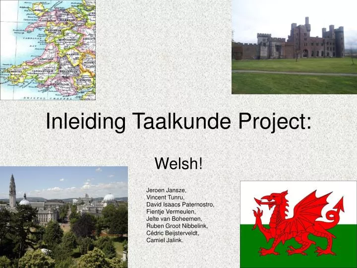 inleiding taalkunde project