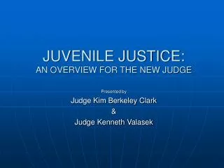 JUVENILE JUSTICE: AN OVERVIEW FOR THE NEW JUDGE