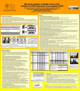 Microarray Analyses in Bladder Cancer Cells: Inhibition of hTERT Expression Down-regulates EGFR