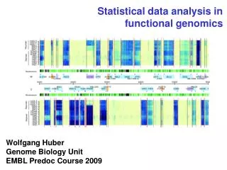 Statistical data analysis in functional genomics