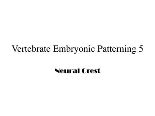 Vertebrate Embryonic Patterning 5