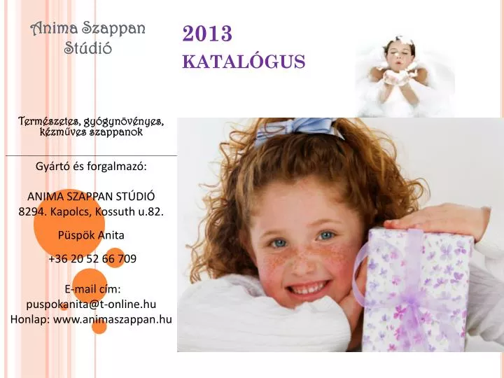 2013 katal gus