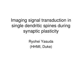 Imaging signal transduction in single dendritic spines during synaptic plasticity