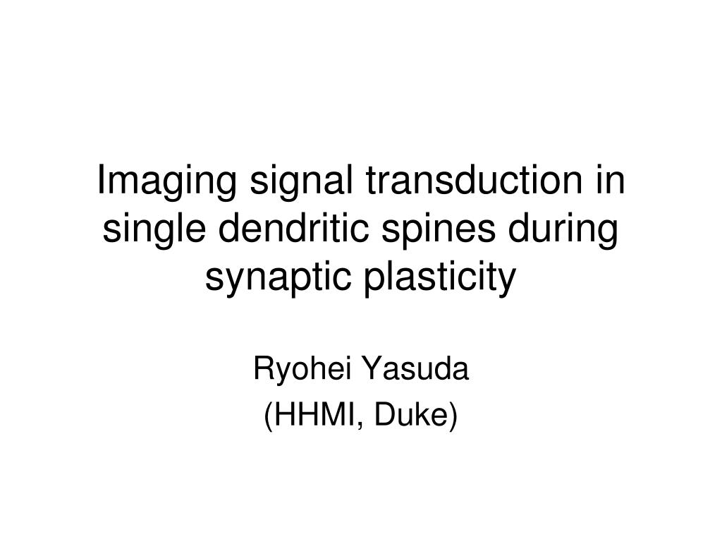 PPT - Imaging signal transduction in single dendritic spines during ...