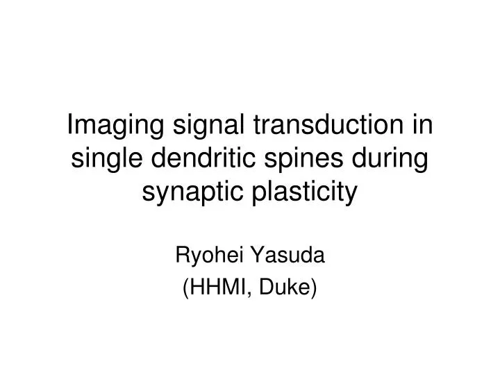 imaging signal transduction in single dendritic spines during synaptic plasticity