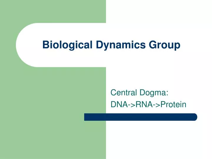 biological dynamics group