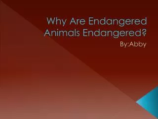 Why Are Endangered Animals Endangered?