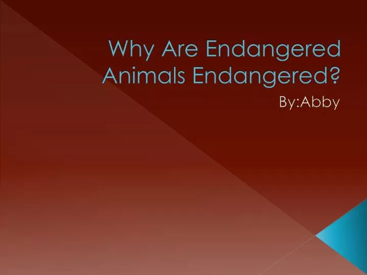 why are endangered animals endangered