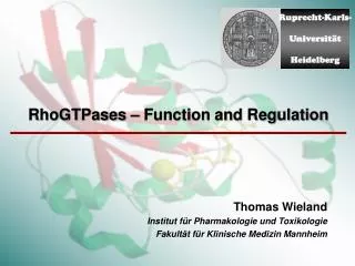 RhoGTPases – Function and Regulation