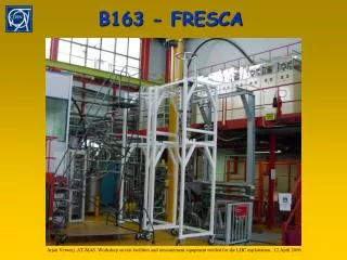 B163 - FRESCA