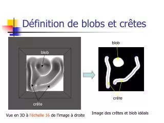 d finition de blobs et cr tes