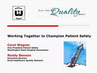 Working Together to Champion Patient Safety Carol Wagner Vice President Patient Safety