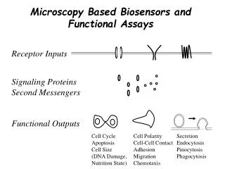 Microscopy Based Biosensors and Functional Assays