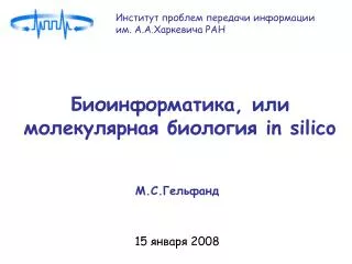 in silico