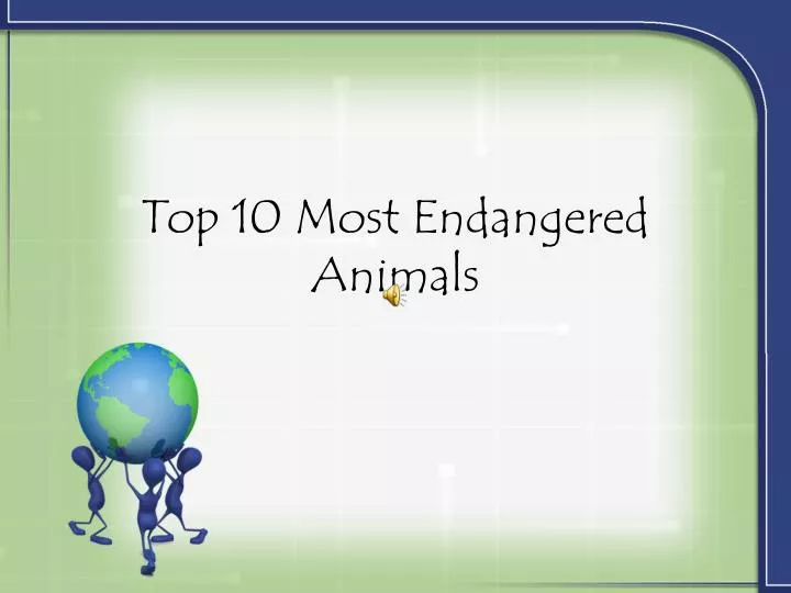 top 10 most endangered animals